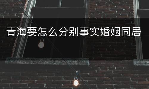 青海要怎么分别事实婚姻同居