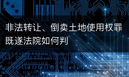 非法转让、倒卖土地使用权罪既遂法院如何判