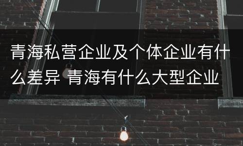 青海私营企业及个体企业有什么差异 青海有什么大型企业