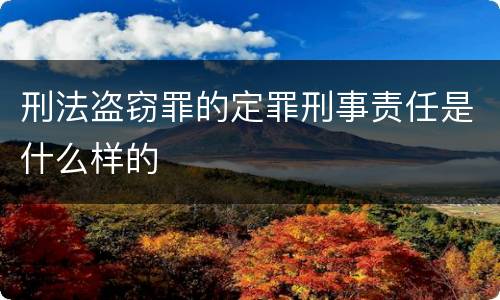 刑法盗窃罪的定罪刑事责任是什么样的