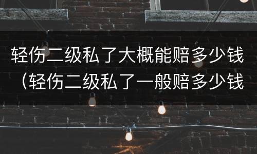 轻伤二级私了大概能赔多少钱（轻伤二级私了一般赔多少钱）