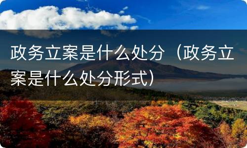 政务立案是什么处分（政务立案是什么处分形式）