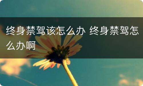 终身禁驾该怎么办 终身禁驾怎么办啊
