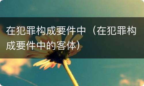 在犯罪构成要件中（在犯罪构成要件中的客体）
