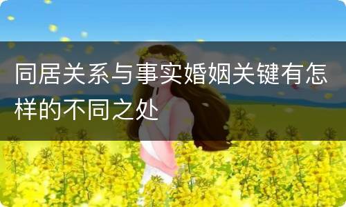 同居关系与事实婚姻关键有怎样的不同之处