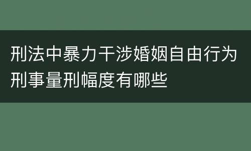 刑法中暴力干涉婚姻自由行为刑事量刑幅度有哪些