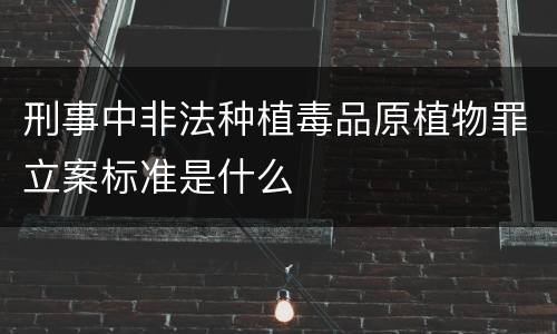 刑事中非法种植毒品原植物罪立案标准是什么
