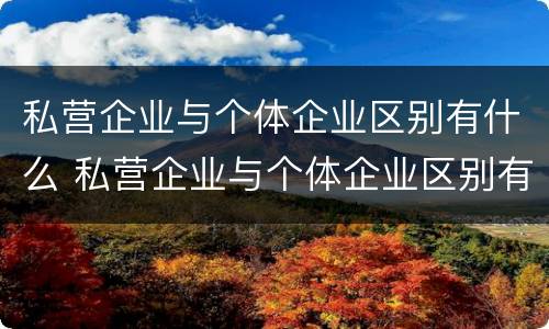 私营企业与个体企业区别有什么 私营企业与个体企业区别有什么作用