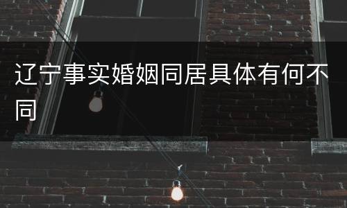 辽宁事实婚姻同居具体有何不同