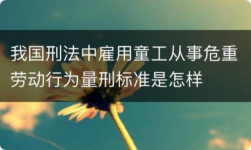 我国刑法中雇用童工从事危重劳动行为量刑标准是怎样