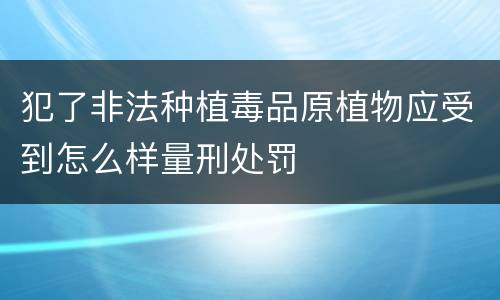 犯了非法种植毒品原植物应受到怎么样量刑处罚