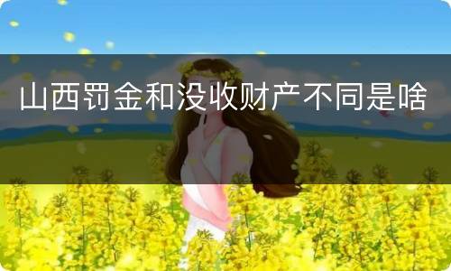 山西罚金和没收财产不同是啥