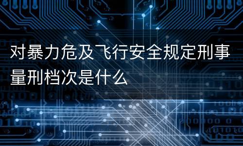 对暴力危及飞行安全规定刑事量刑档次是什么