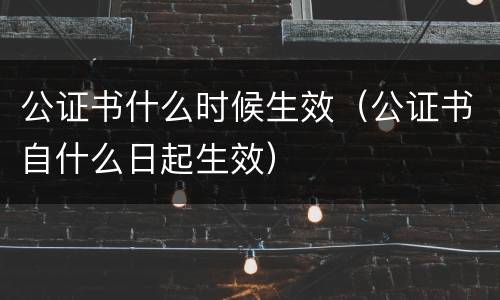 公证书什么时候生效（公证书自什么日起生效）