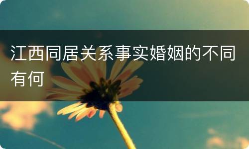 江西同居关系事实婚姻的不同有何