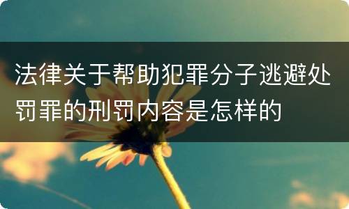 法律关于帮助犯罪分子逃避处罚罪的刑罚内容是怎样的