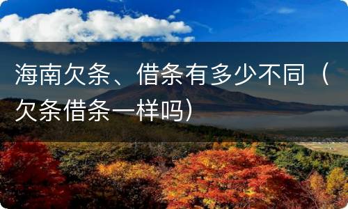 海南欠条、借条有多少不同（欠条借条一样吗）