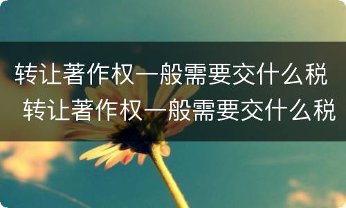 转让著作权一般需要交什么税 转让著作权一般需要交什么税种