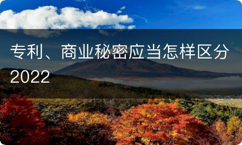 专利、商业秘密应当怎样区分2022