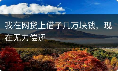 我在网贷上借了几万块钱，现在无力偿还