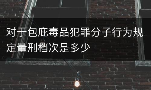 对于包庇毒品犯罪分子行为规定量刑档次是多少