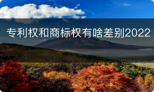 专利权和商标权有啥差别2022