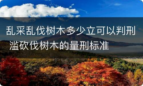 乱采乱伐树木多少立可以判刑 滥砍伐树木的量刑标准