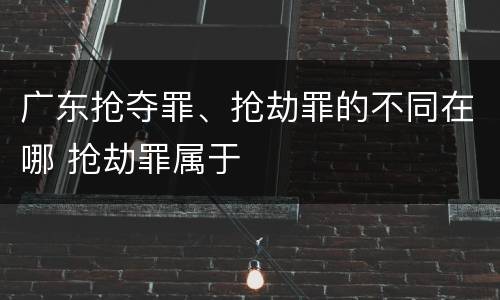 广东抢夺罪、抢劫罪的不同在哪 抢劫罪属于