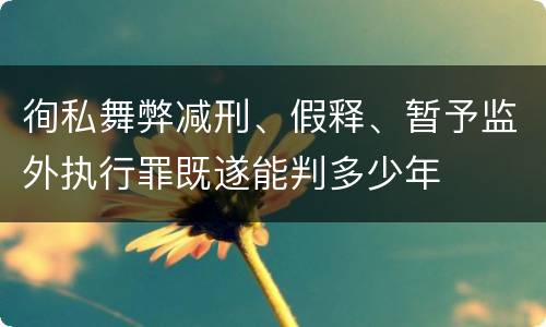 徇私舞弊减刑、假释、暂予监外执行罪既遂能判多少年