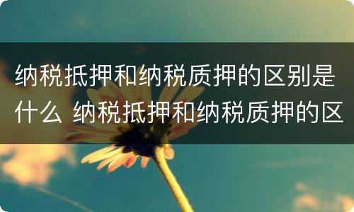 纳税抵押和纳税质押的区别是什么 纳税抵押和纳税质押的区别是什么意思