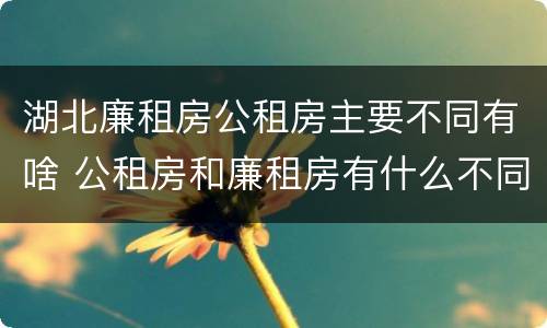 湖北廉租房公租房主要不同有啥 公租房和廉租房有什么不同?