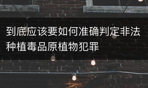 到底应该要如何准确判定非法种植毒品原植物犯罪