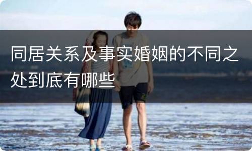 同居关系及事实婚姻的不同之处到底有哪些