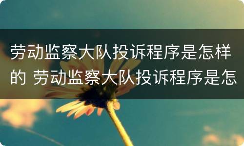 劳动监察大队投诉程序是怎样的 劳动监察大队投诉程序是怎样的呀