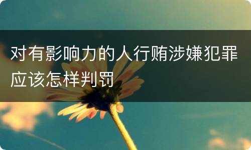 对有影响力的人行贿涉嫌犯罪应该怎样判罚