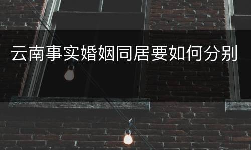 云南事实婚姻同居要如何分别
