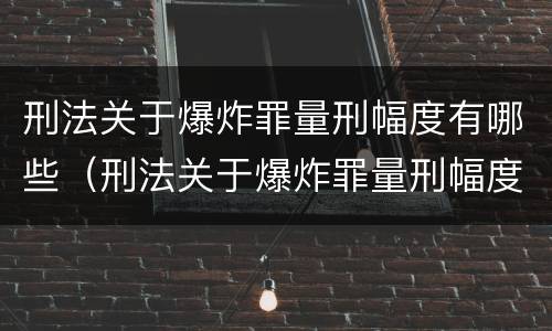 刑法关于爆炸罪量刑幅度有哪些（刑法关于爆炸罪量刑幅度有哪些规定）