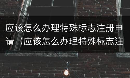 应该怎么办理特殊标志注册申请（应该怎么办理特殊标志注册申请手续）