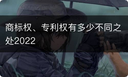 商标权、专利权有多少不同之处2022