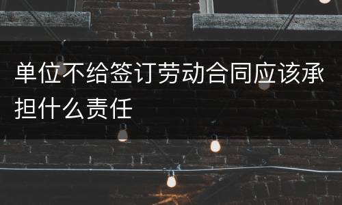 单位不给签订劳动合同应该承担什么责任
