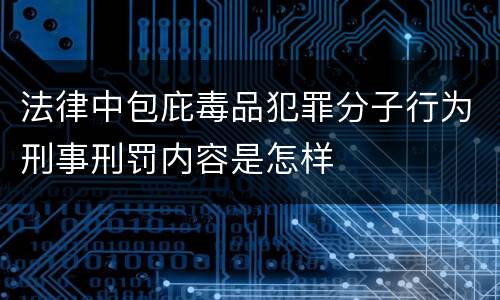 法律中包庇毒品犯罪分子行为刑事刑罚内容是怎样