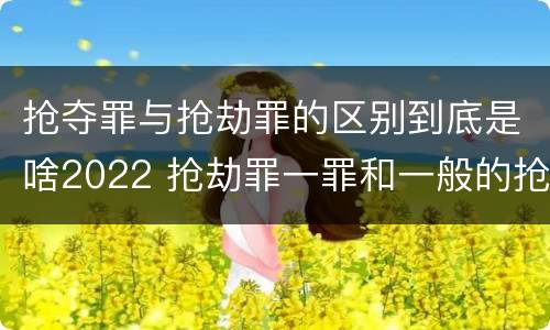 抢夺罪与抢劫罪的区别到底是啥2022 抢劫罪一罪和一般的抢劫罪