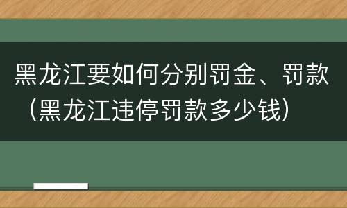 黑龙江要如何分别罚金、罚款（黑龙江违停罚款多少钱）