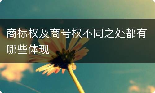 商标权及商号权不同之处都有哪些体现