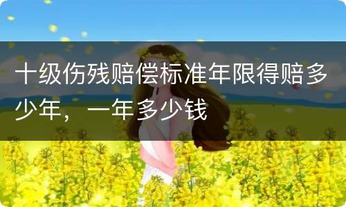 十级伤残赔偿标准年限得赔多少年，一年多少钱