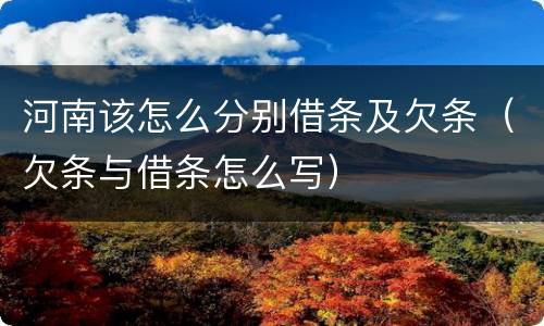 河南该怎么分别借条及欠条（欠条与借条怎么写）