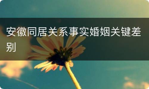 安徽同居关系事实婚姻关键差别