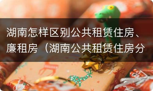 湖南怎样区别公共租赁住房、廉租房（湖南公共租赁住房分配和运营管理办法）