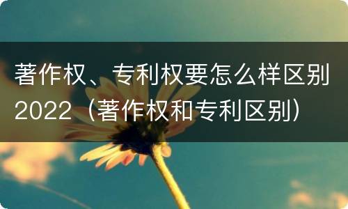 著作权、专利权要怎么样区别2022（著作权和专利区别）