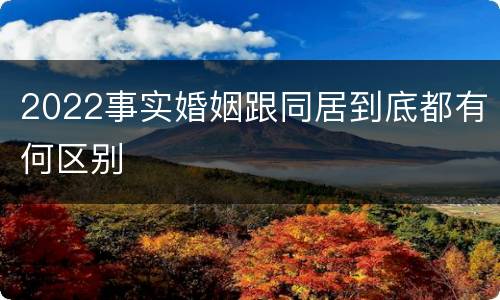 2022事实婚姻跟同居到底都有何区别